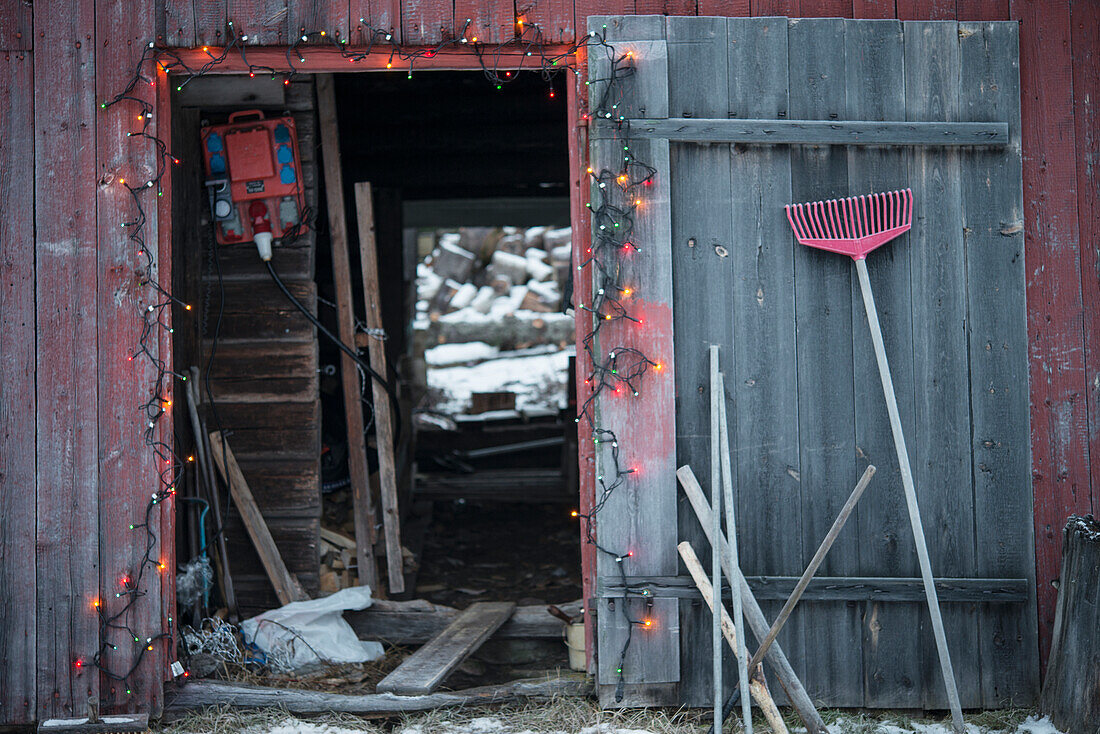 Christmas lights around shed door