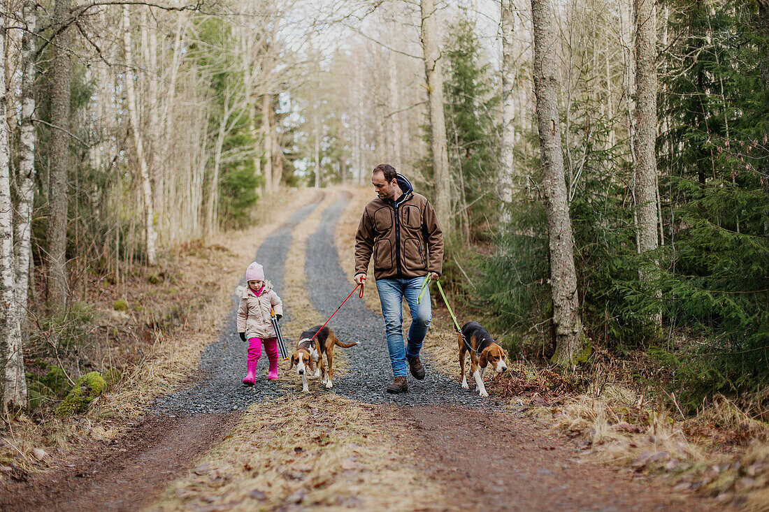 Father and daughter walking dogs