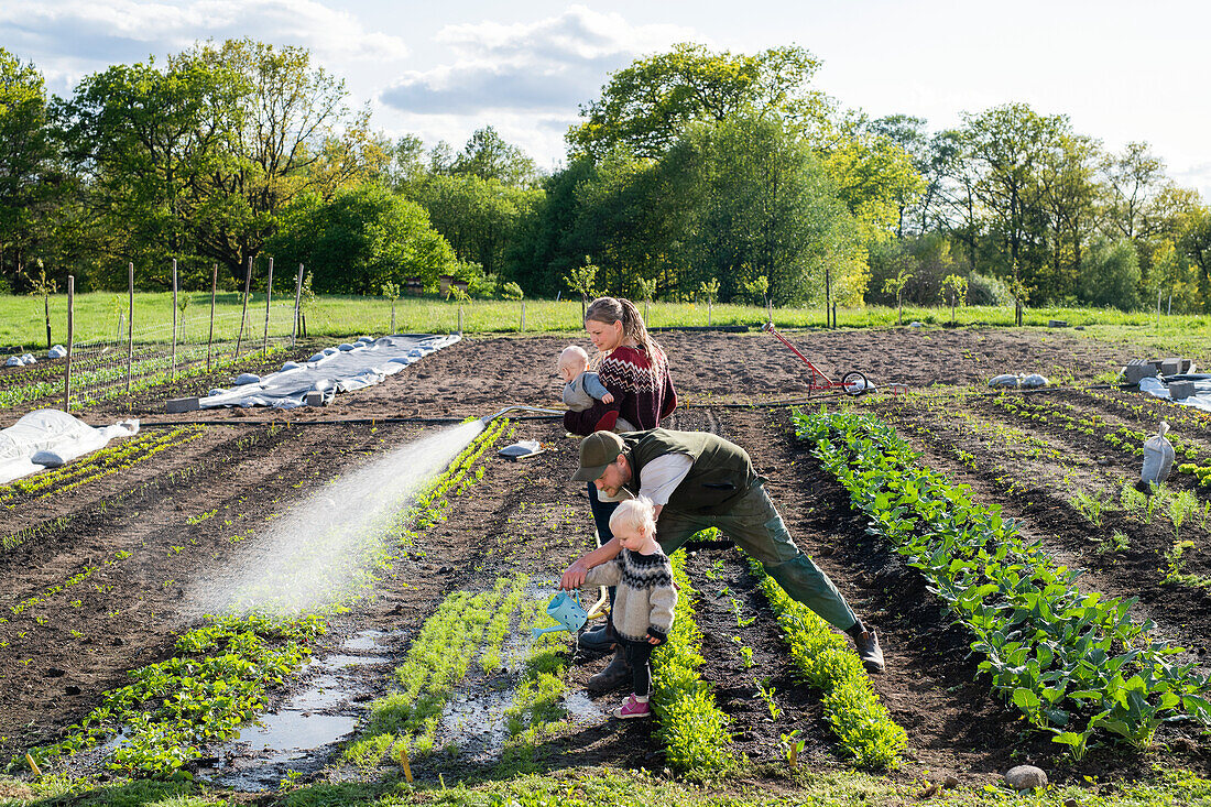 Family working on field