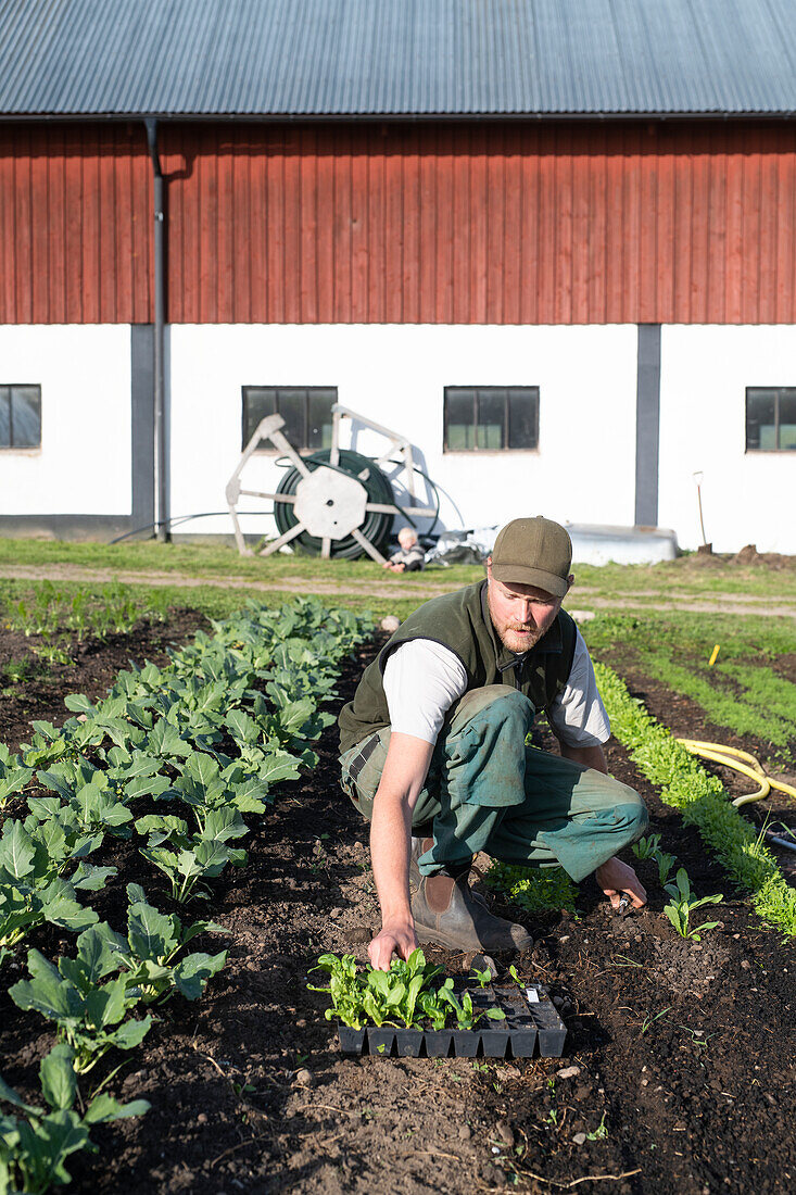 Mann bei der Arbeit auf dem Feld