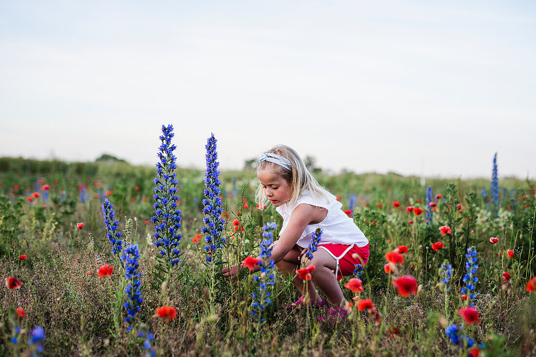 Girl picking flowers on meadow