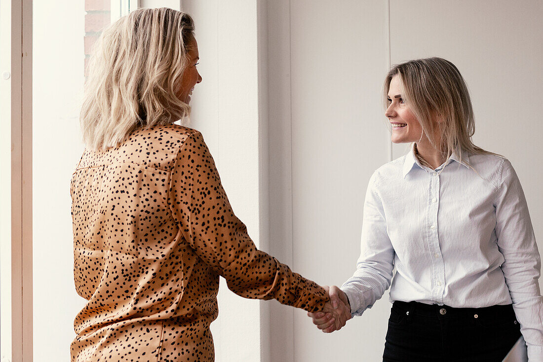 Women having handshake