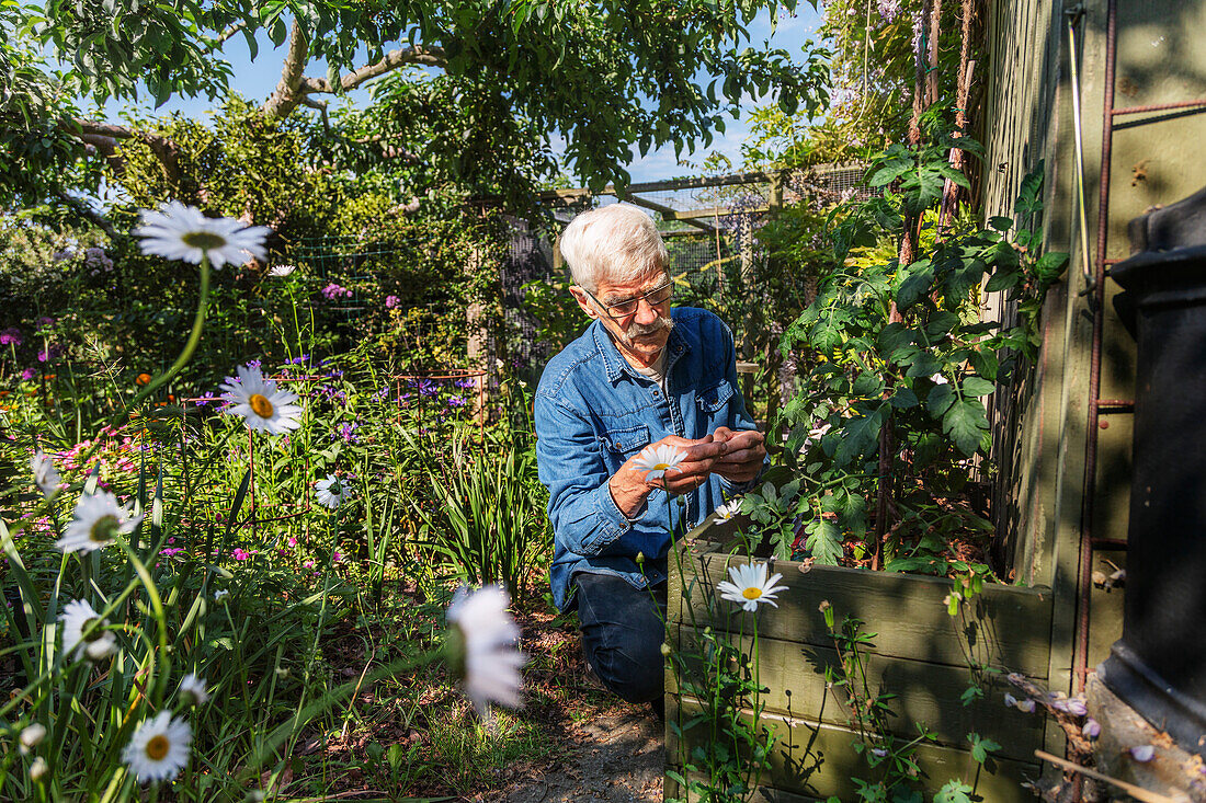 Man in summer garden