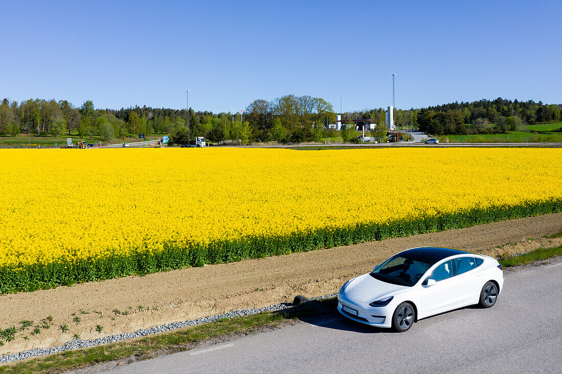 Auto neben blühendem Rapsfeld geparkt