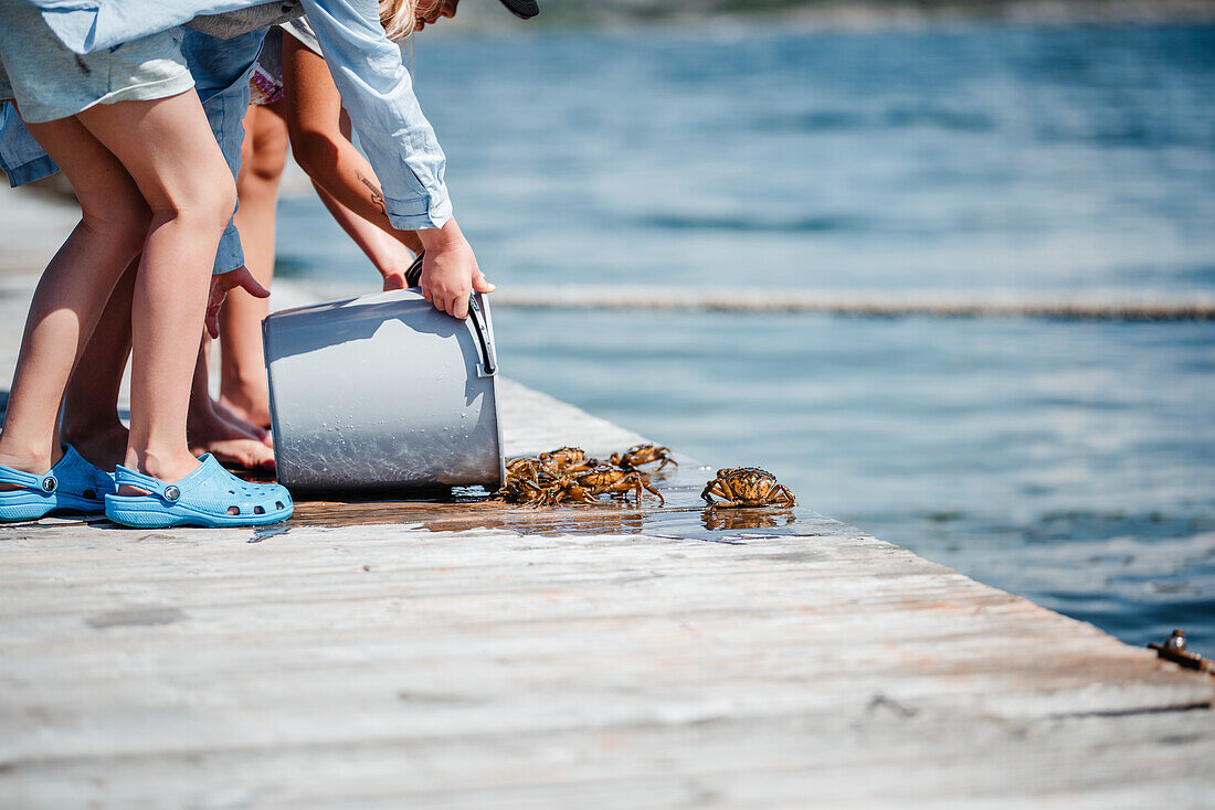 Girls letting crabs out of bucket