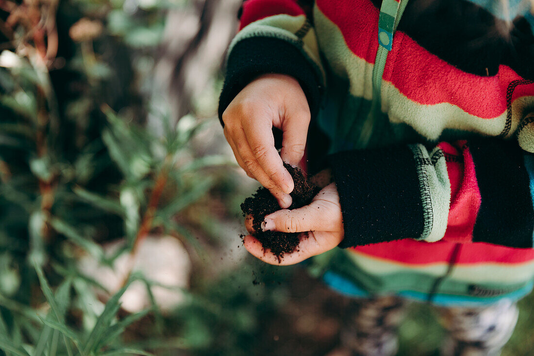 Child hands holding soil