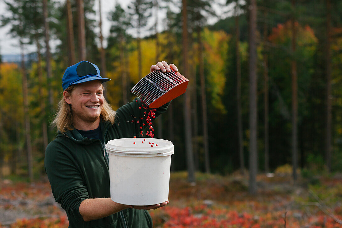 Mann schleudert Eimer mit Preiselbeeren