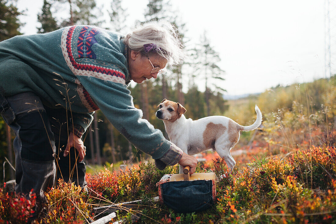 Senior woman picking berries