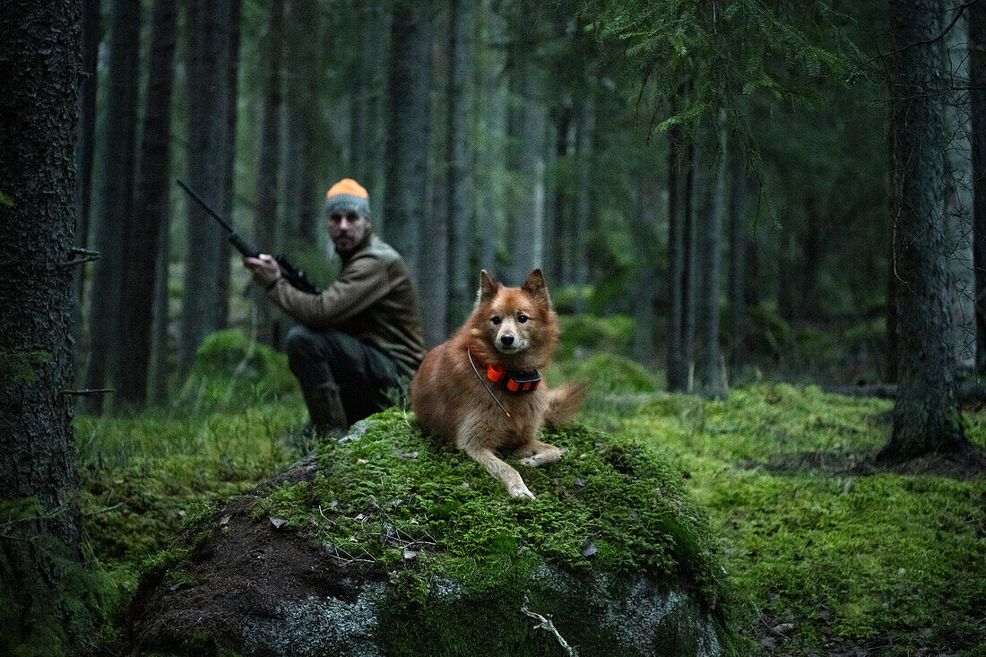 Hunting dog in forest, hunter in background