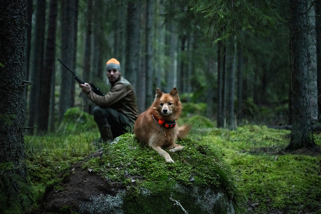 Jagdhund im Wald, Jäger im Hintergrund