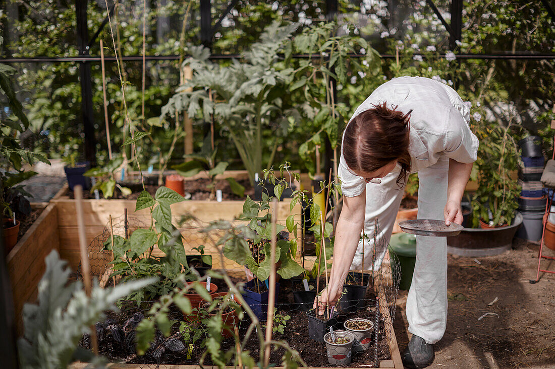 Woman taking care of plants in garden