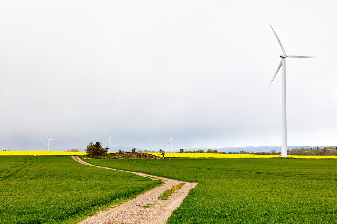 Windturbinen in landwirtschaftlichen Feldern