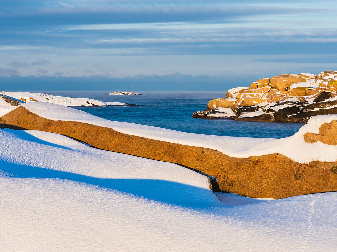 Snowy coast and sea in sunlight