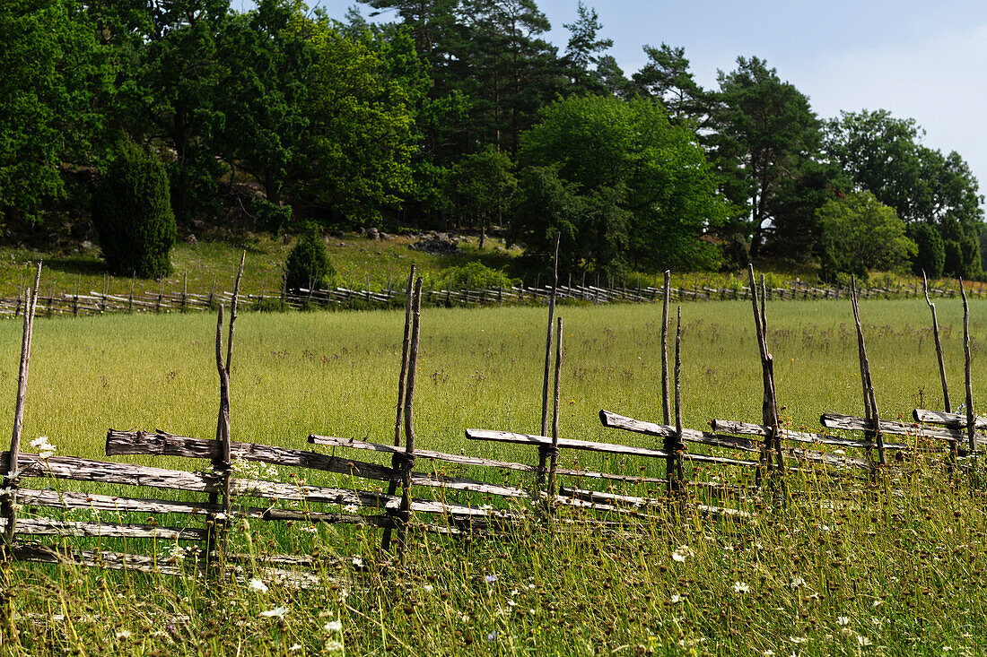 Wooden fence along field