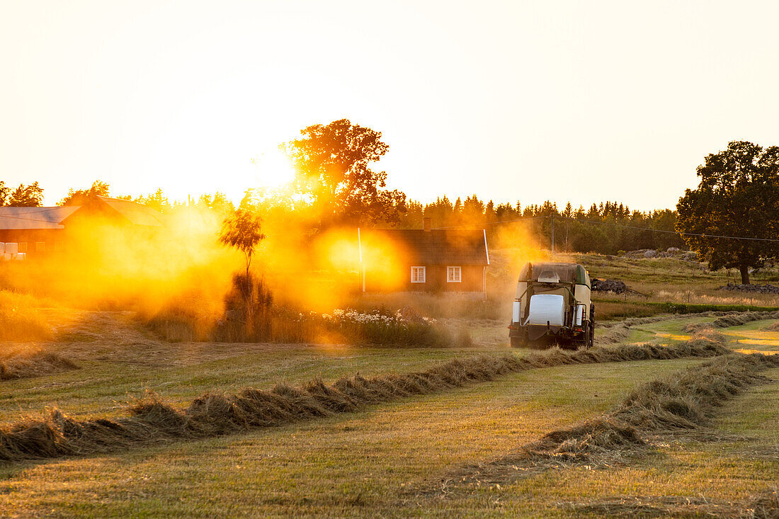 Combine harvester on farm