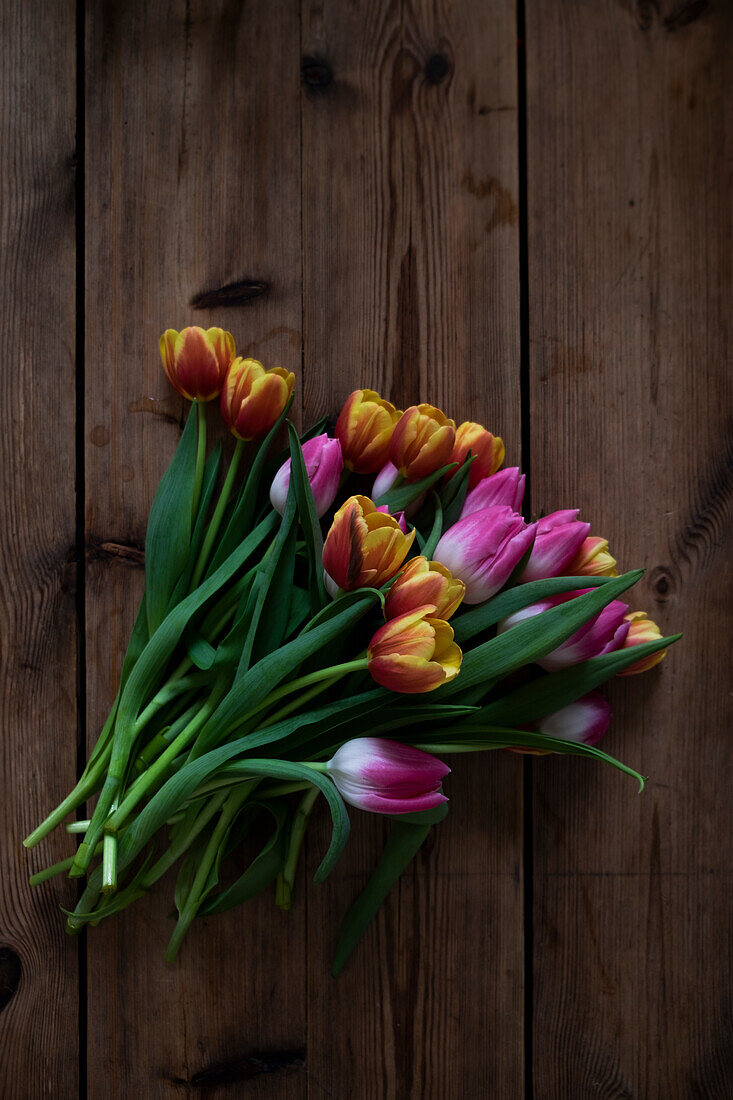 Colorful tulips on wooden surface