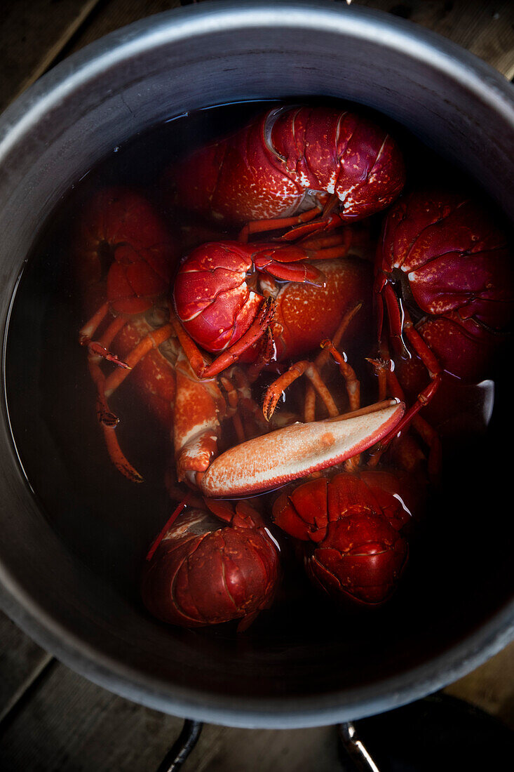Boiling lobsters