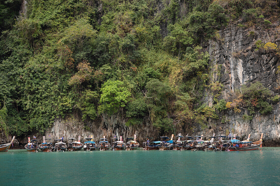 Traditional boats moored in canyon