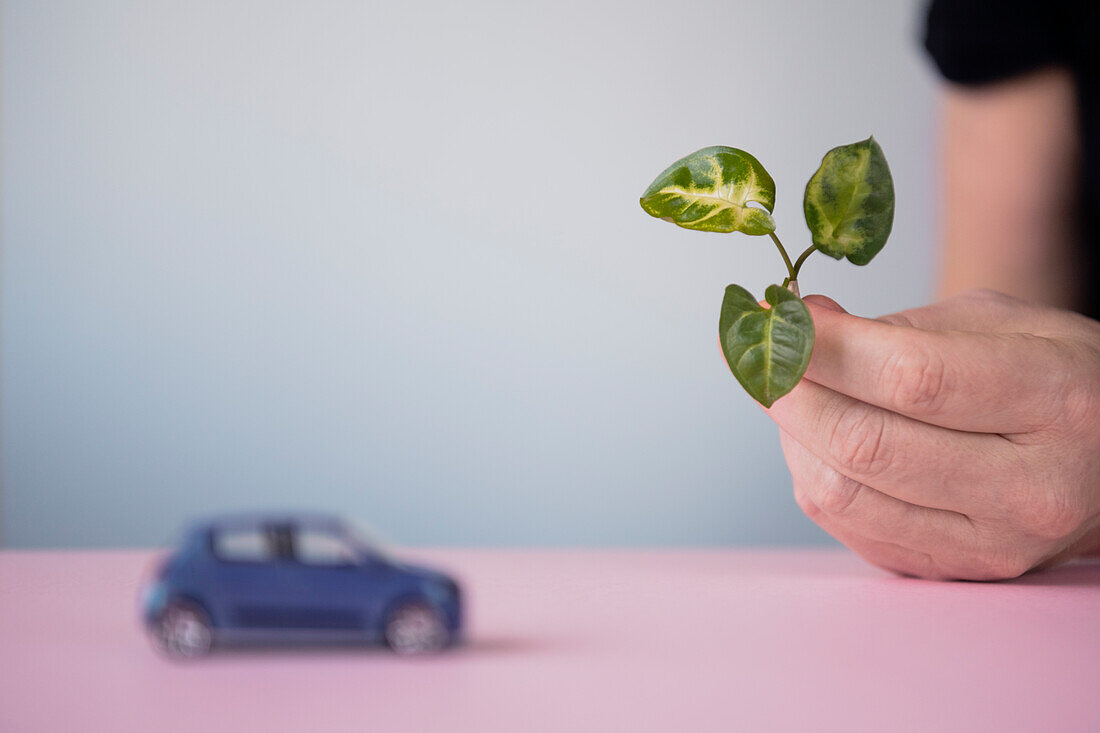 Hand holding leaf, toy car in background