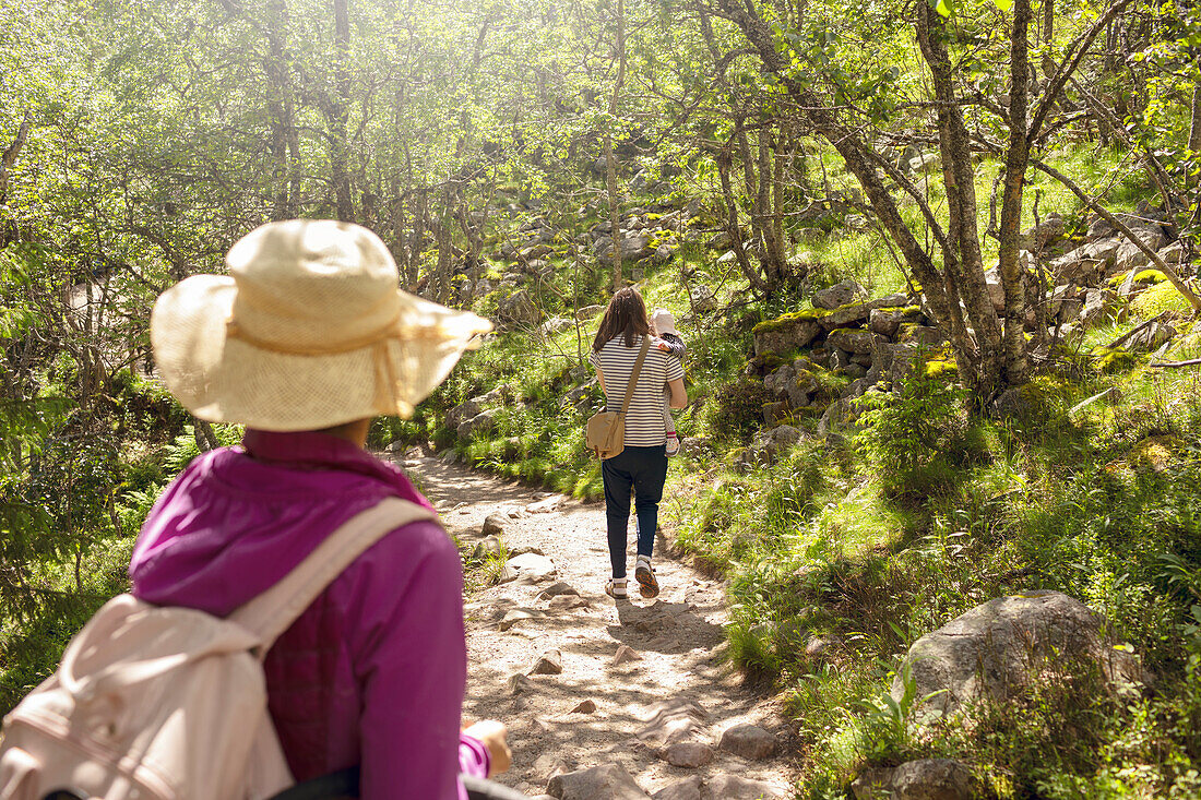 People walking through forest