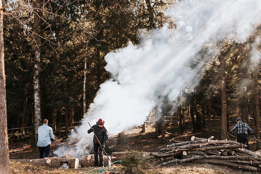 People working in forest