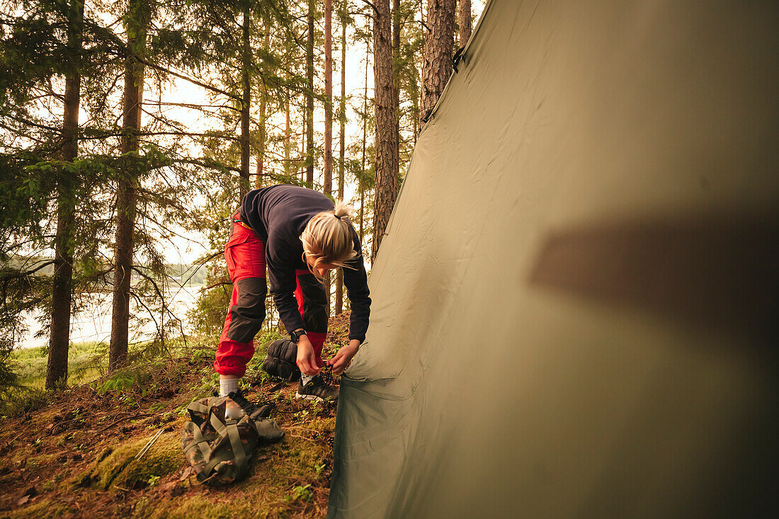 Female hiker pitching tent in forest
