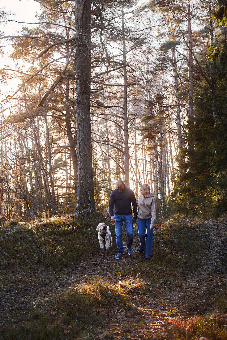Couple walking with dog in forest