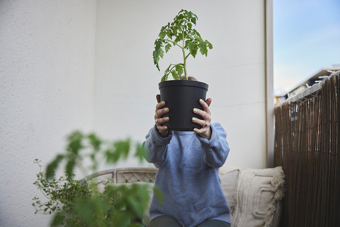 Frau hält Tomatensetzling