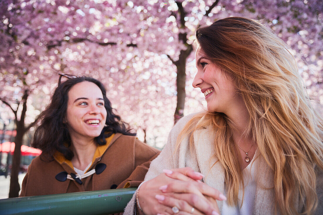 Smiling young women standing under cherry blossom