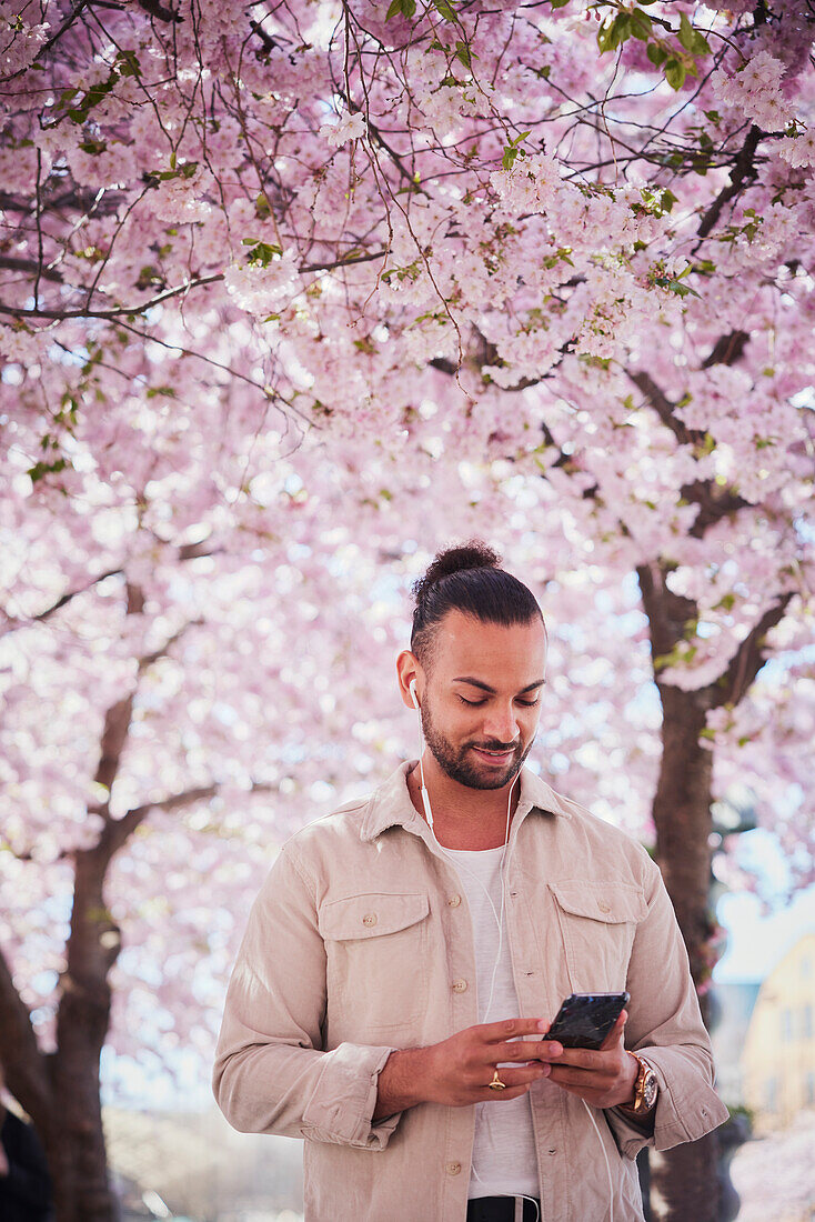 Young man standing under cherry blossom and using phone