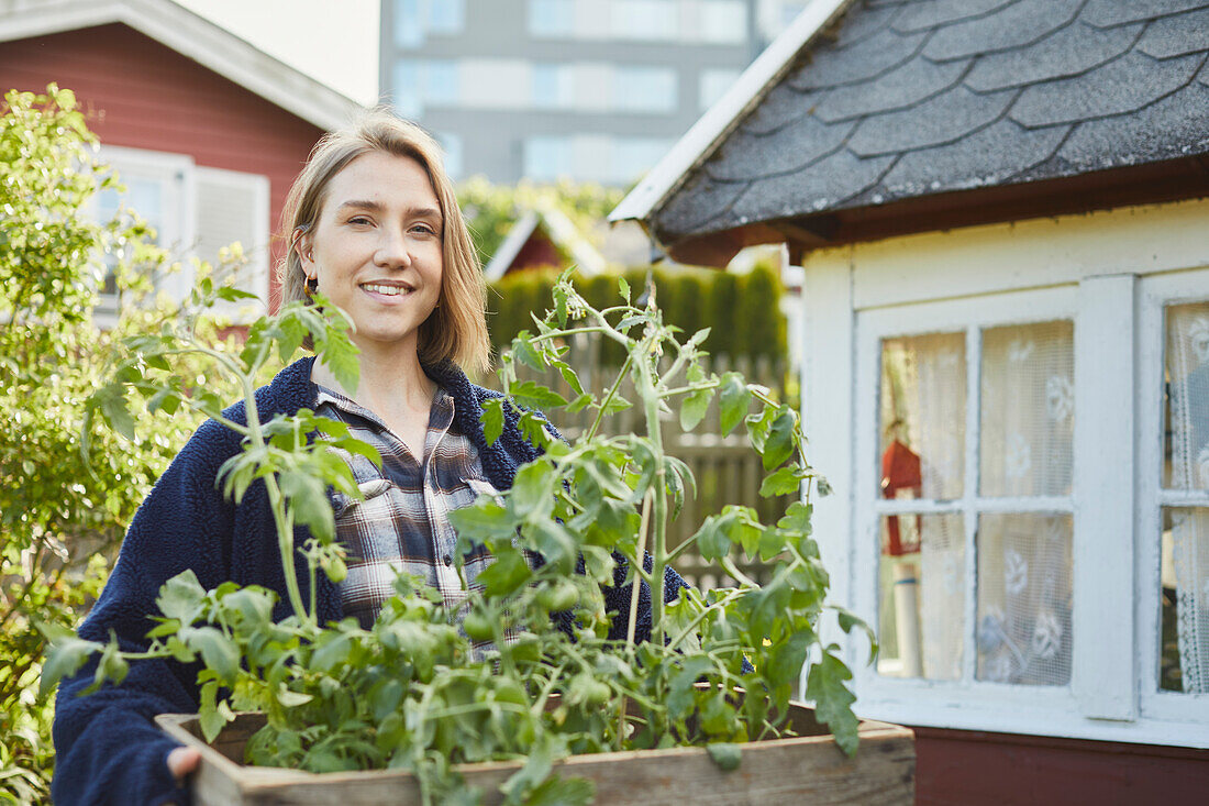 Frau hält Kiste mit Tomatenpflanzen