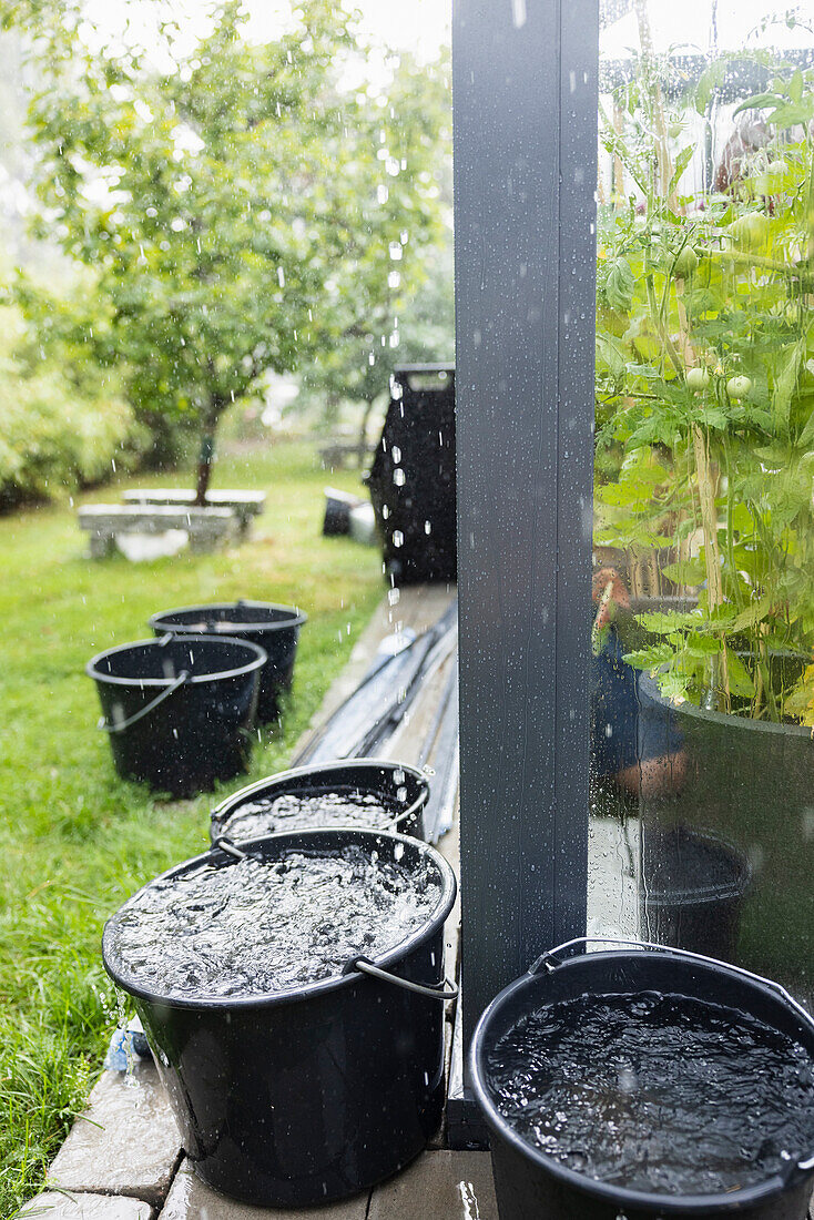 Buckets collecting rainwater in garden