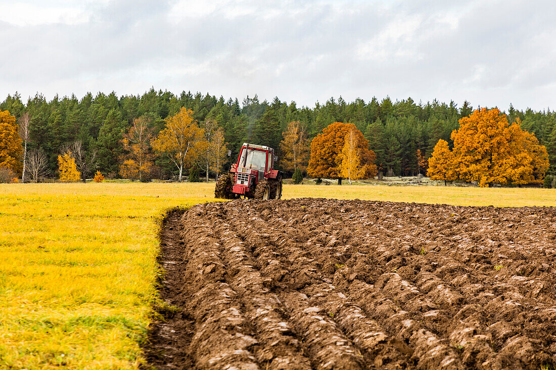 Traktor pflügt Feld