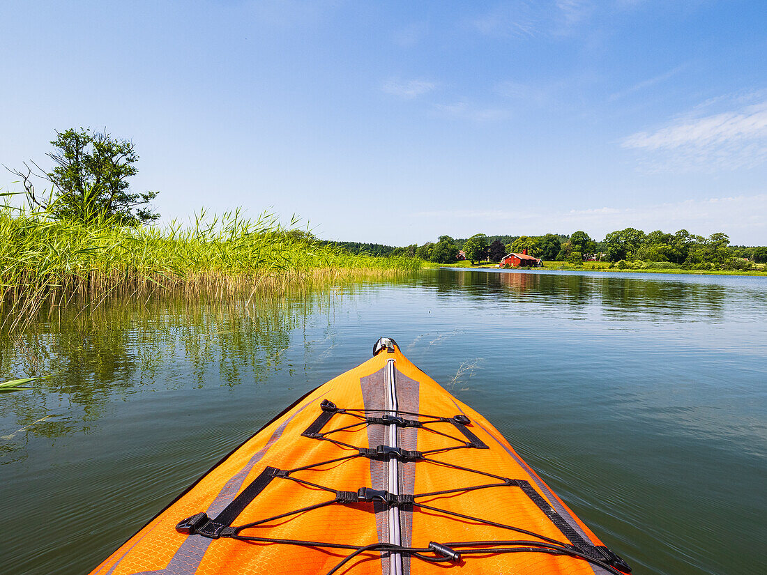 Flussansicht vom Kajak aus