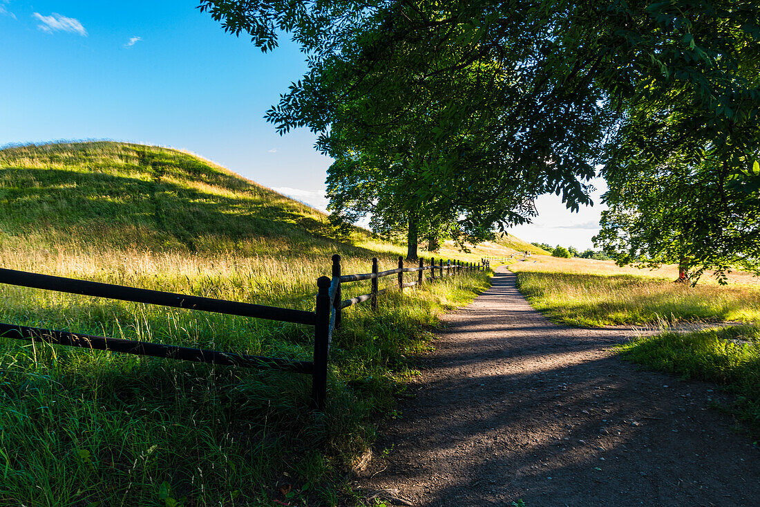 Hilly landscape with dirt road