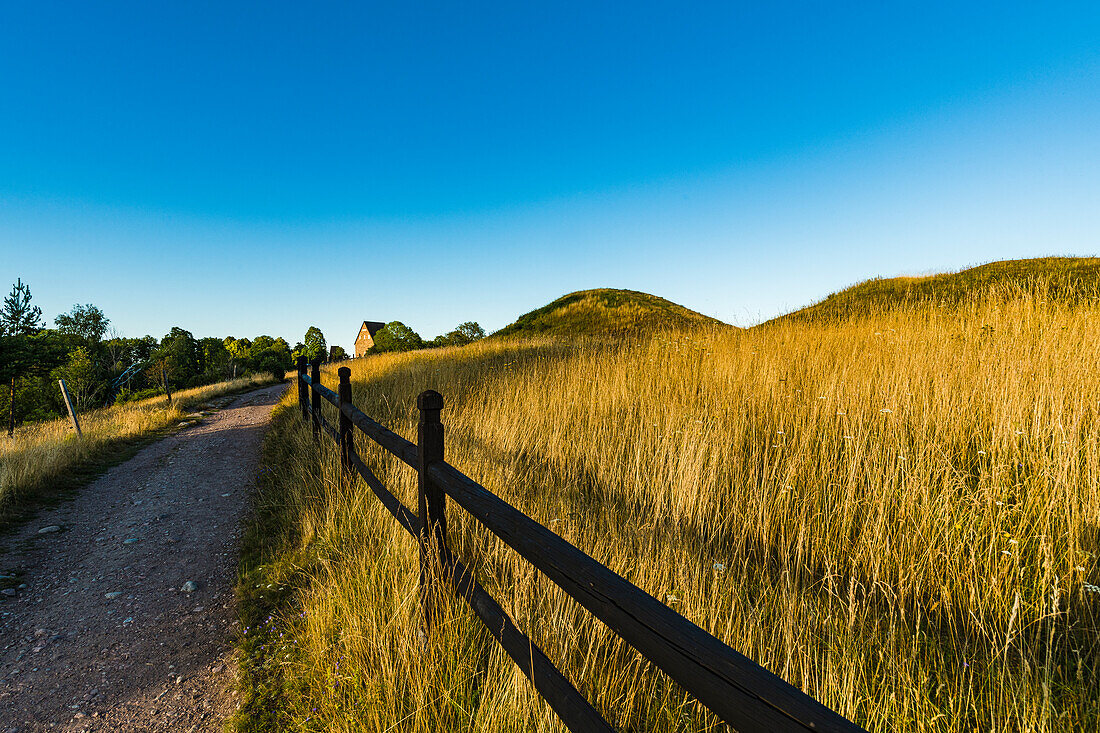 Hilly landscape with dirt road