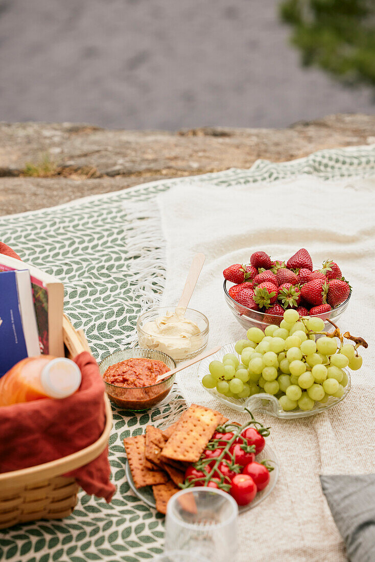 Obst, Gemüse und Cracker auf einer Picknick-Decke