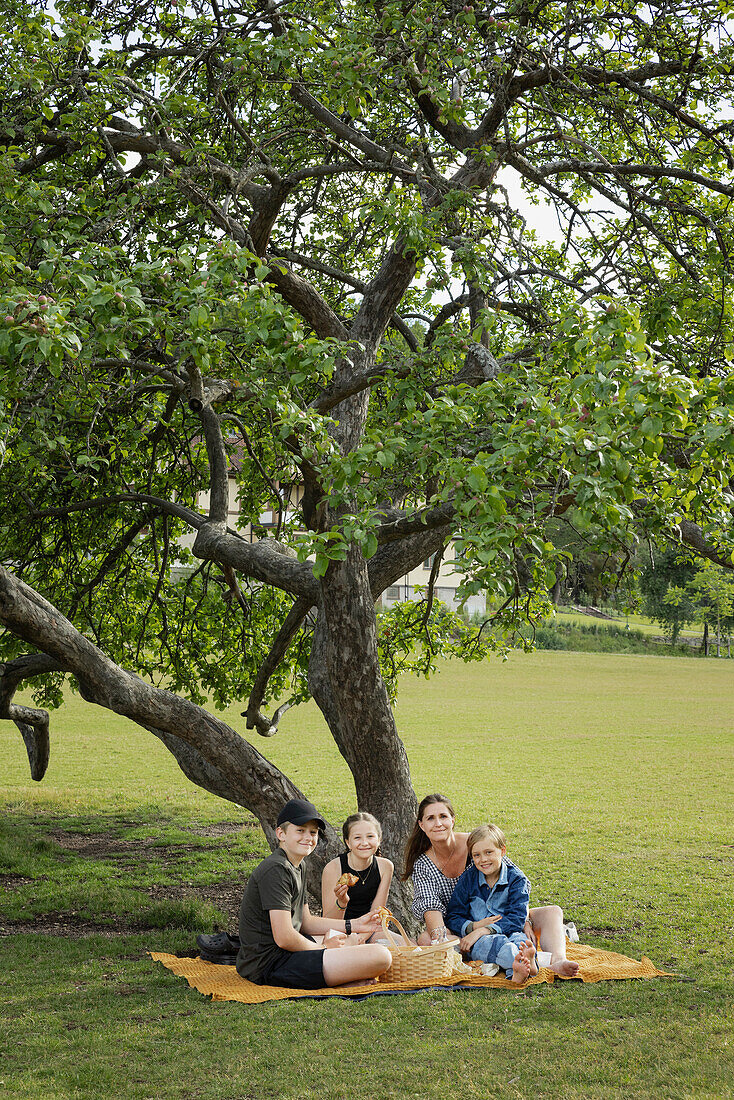 Mother and children having picnic