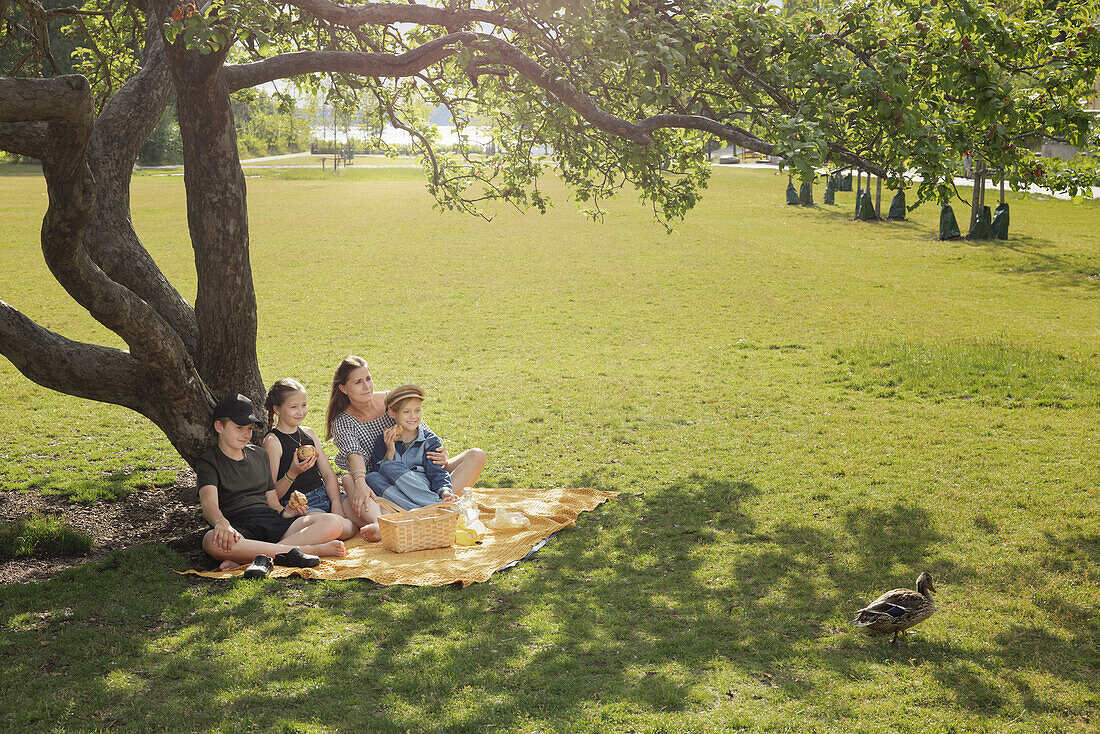 Mother having picnic with children