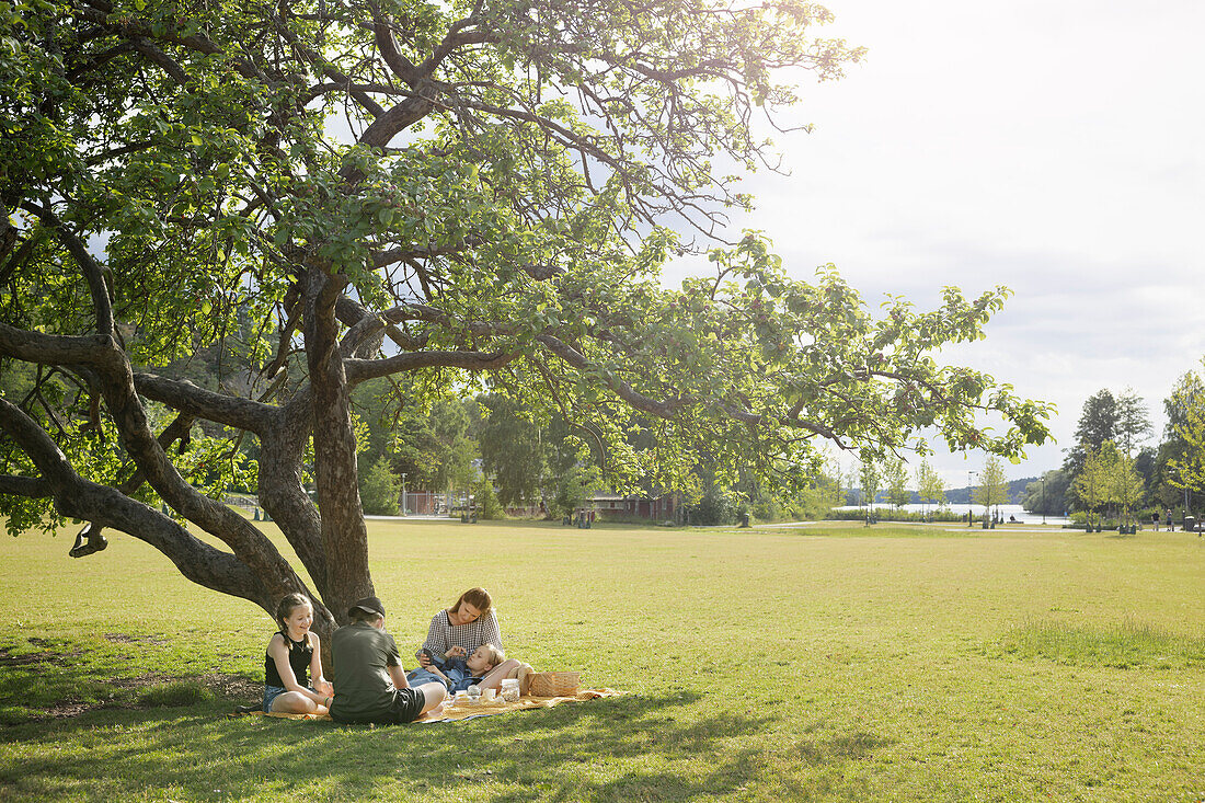 Mother having picnic with children