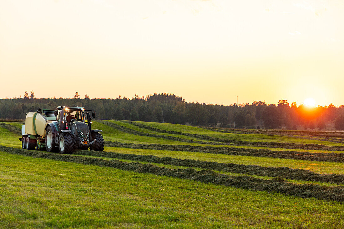 Tractor working in field at sunset