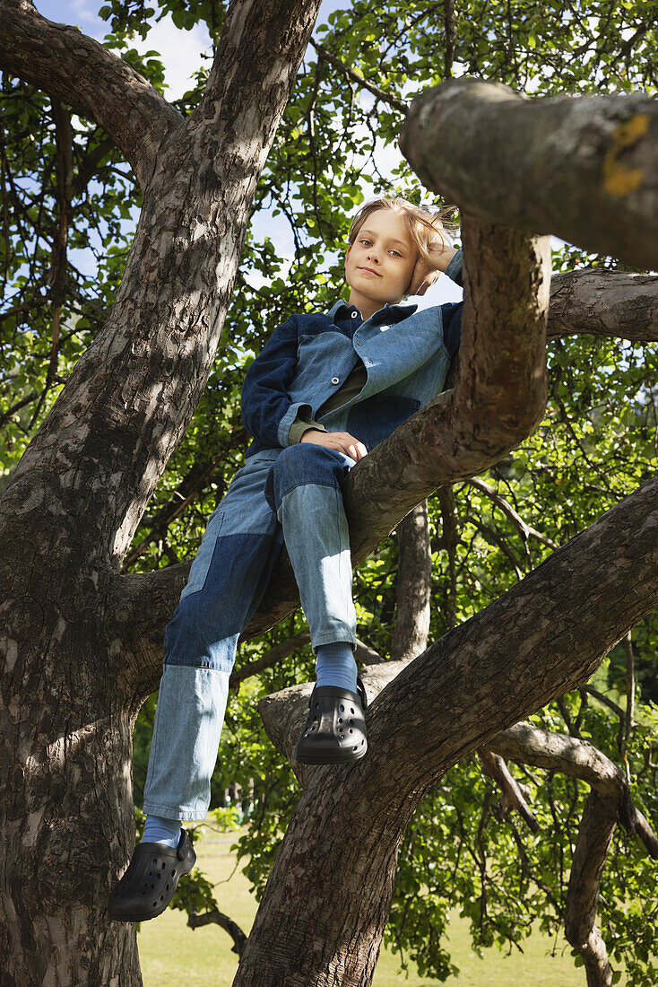 Girl sitting on tree