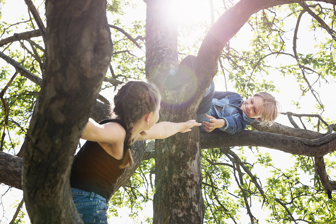 Girls sitting on tree