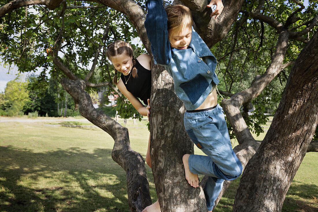 Girls climbing tree