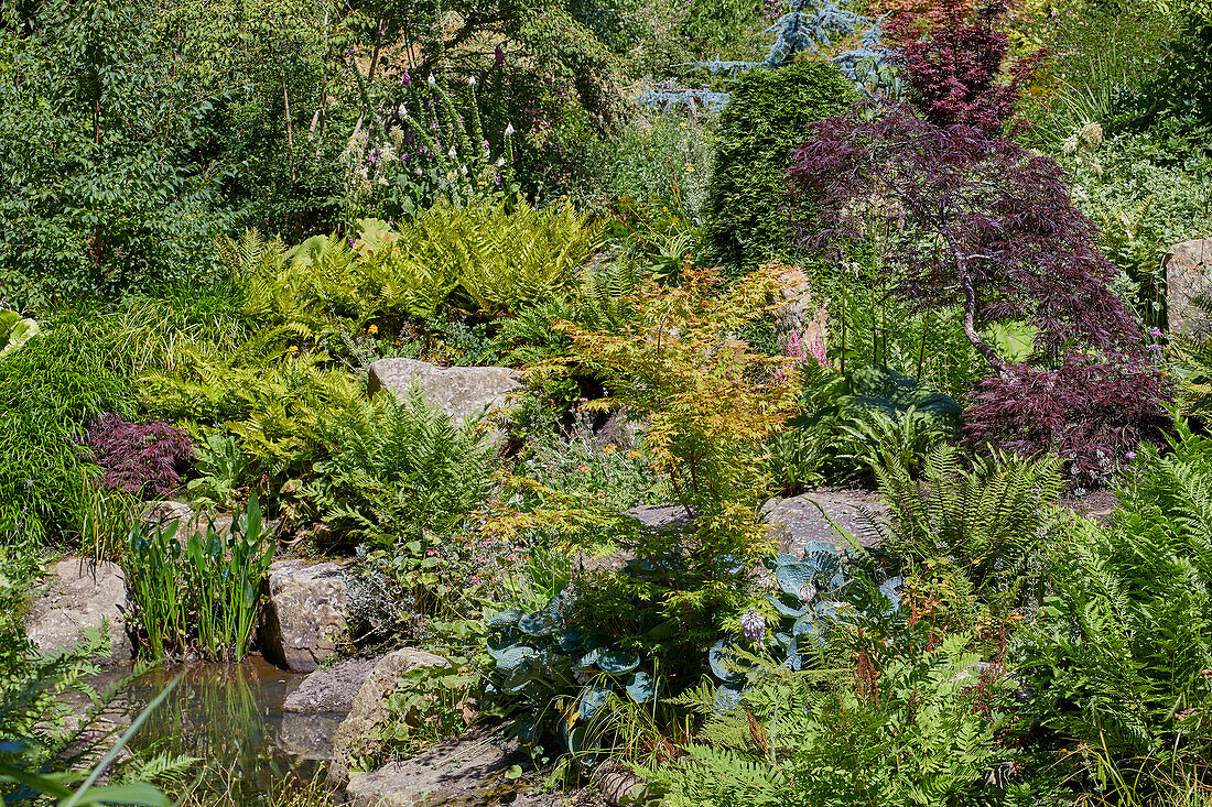 Pond garden