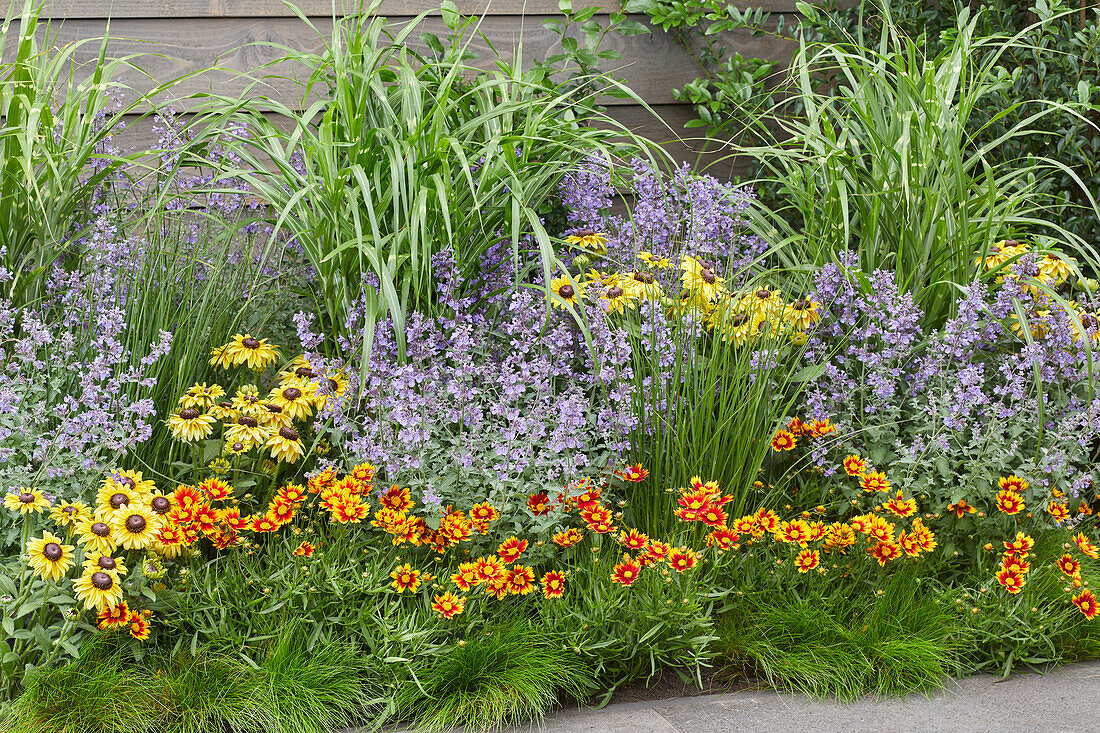 Gartenbeet mit mehrjährigen Pflanzen