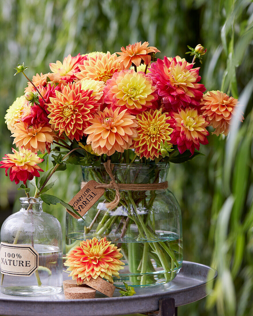 Sunny Dahlia Bouquet