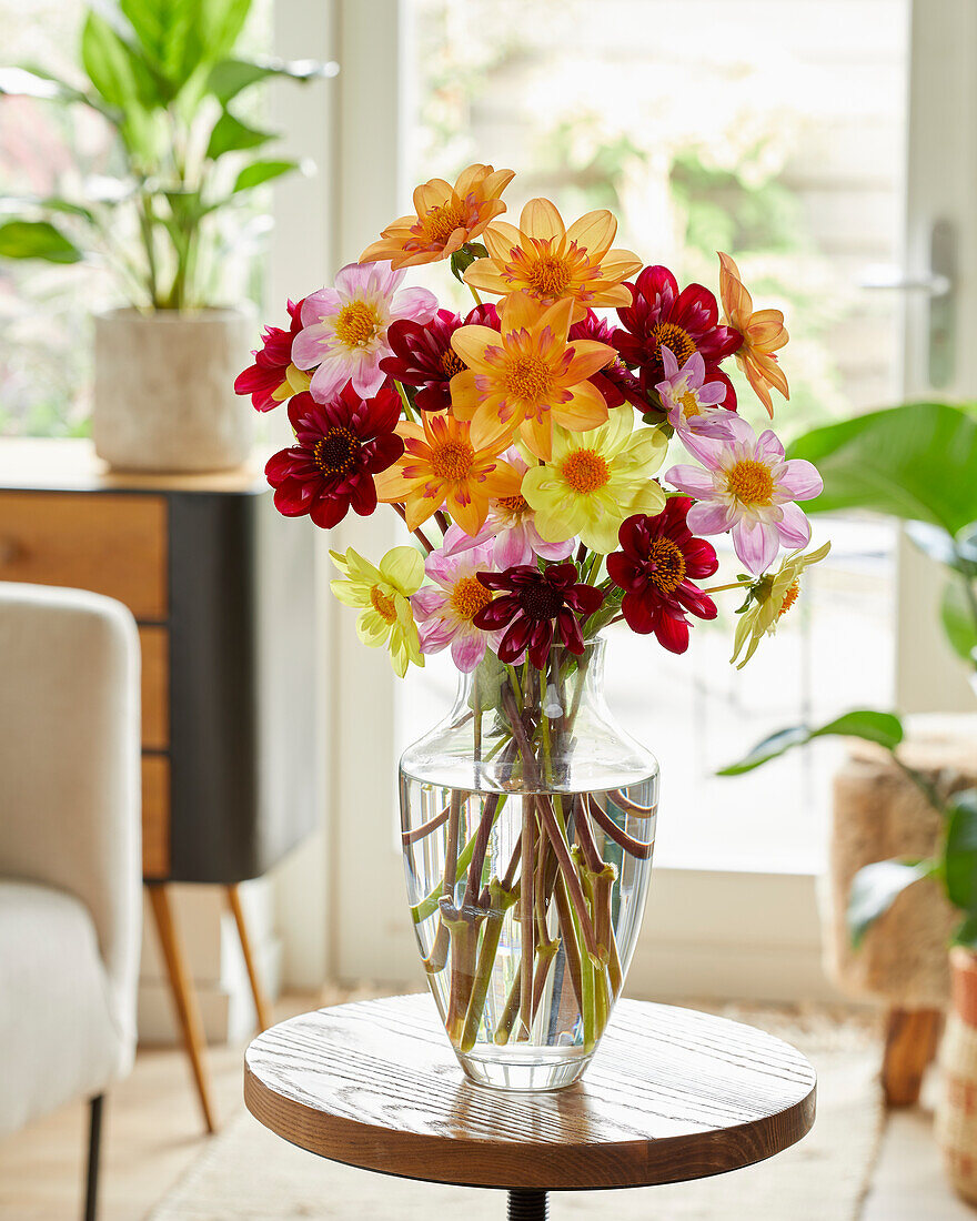 Dahlia collarette bouquet