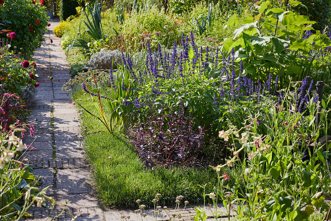 Gartenweg und sommerliches Staudenbeet