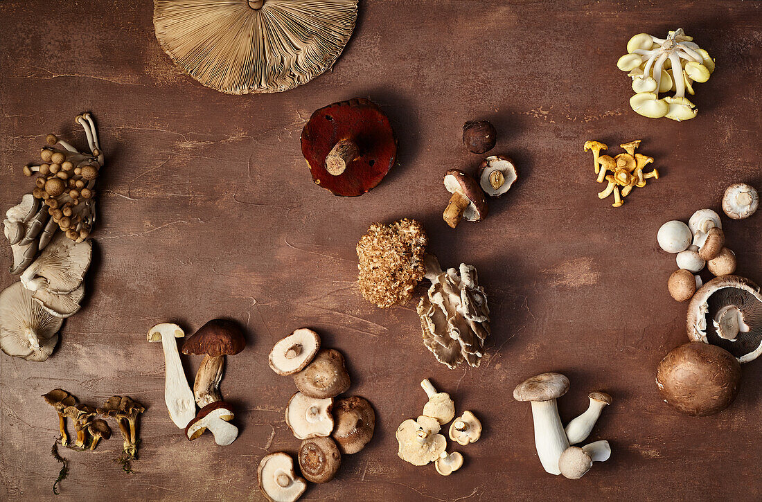 Still life with forest mushrooms